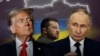 D.Tramp, V.Zelenski və V.Putin