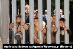Migranți la granița Polonia-Belarus, lângă Bialowieza, în mai 2023.