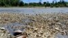 Село на березі Каховського водосховища, Нікопольський район Дніпропетровська область, 9 червня 2023 року