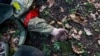 ООН изучит видео с возможным расстрелом российских пленных