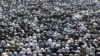 <p>Muslims attend Eid al-Fitr prayers to mark the end of the holy month of Ramadan, in Karachi, Pakistan, on March 31. 