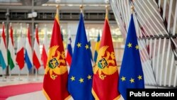Najnovije reagovanje Evropske unije dolazi nakon usvajanja tih izmjena i uoči sjednice parlamentarnih odbora na kojim se 9. februara raspravljalo o tom pravnom aktu.
