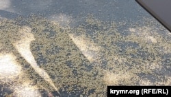Кремль може поновити зусилля з використання невизнаного Придністров’я для «створення нестабільності в Молдові, аби підірвати експорт українського зерна», кажуть в ISW