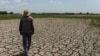 «Продукты неизбежно подорожают». Каких последствий ожидать от засухи