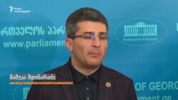 მამუკა მდინარაძე საპარლამენტო კომისიის შესახებ