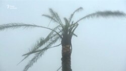 Найгірший буревій за десятиліття у США – Harvey (відео)