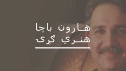 د فضل ربي استاد هنر او ژوند