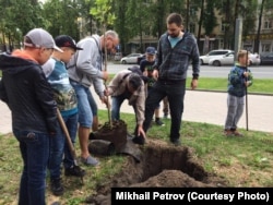 Тренер Михаил Петров вместе с лидером псковского "Яблока" Львом Шлосбергом сажает деревья на Октябрьском проспекте в Пскове.