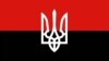 Комісія Київради погодила рішення про вивішення у певні дати прапора ОУН