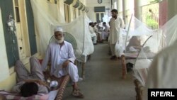 د سوات په یوه روغتون کې د ډینګي ناروغان. ۲۰۱۳ز کال
تصویر له ارشیفه 