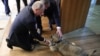 Vladimir Putin în Serbia și politica Rusiei în Balcani