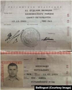 Паспорт Александра Мишкина