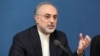«مجارستان اجازه عبور به هواپیمای علی اکبر صالحی نداد»