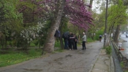 На рынке мардикоров