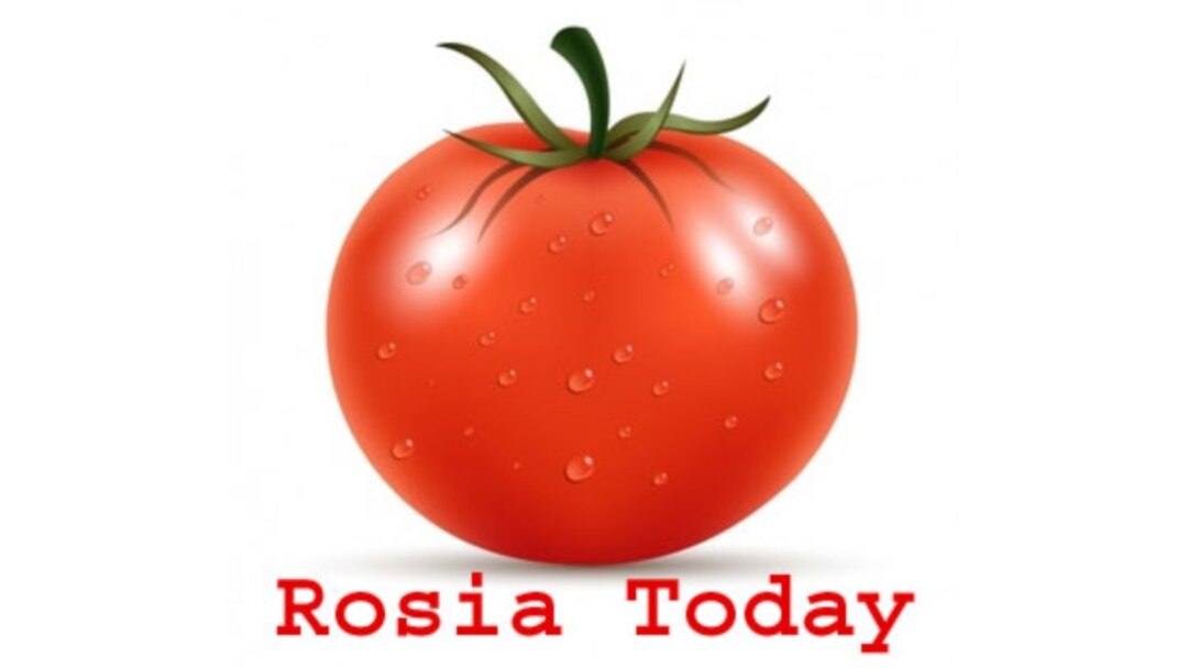 Grupul Rosia Today