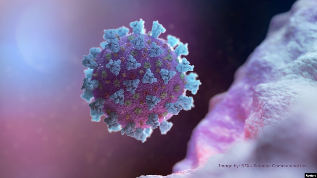 Coronavirus- reprezentare grafică