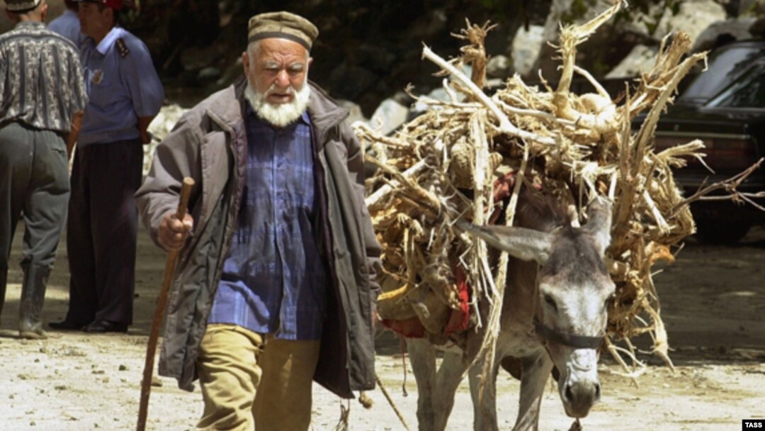 In a country where coal is prohibitively expensive and electricity rationed, many Tajiks use firewood to heat their homes in winter and this is having a devastating effect on Tajikistan's forests (file photo). 