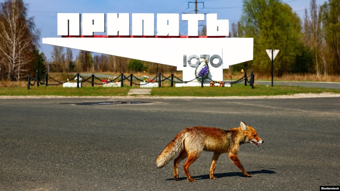 Місто Прип’ять біля ЧАЕС, зона відчуження