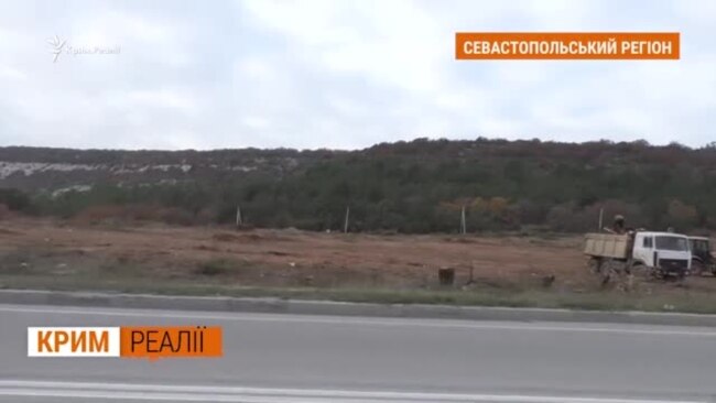 Як заради «Тавриди» знищили дерева у Криму (відео)