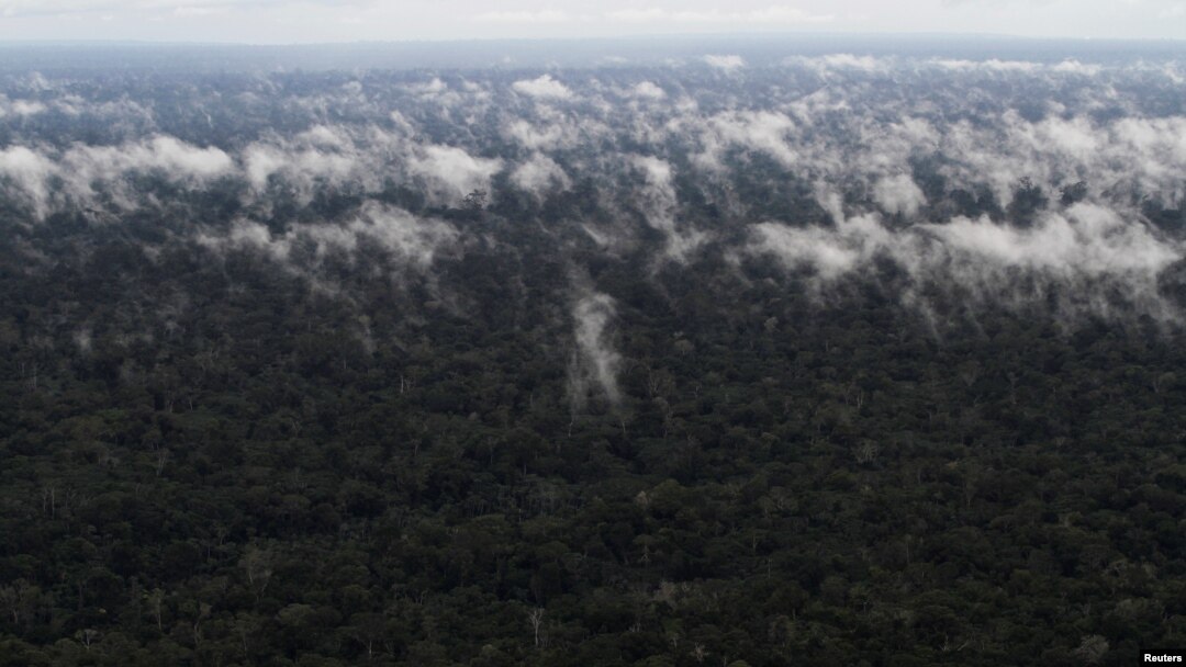 Amazon u blizini brazilskog grada Santarema, arhivska fotografija