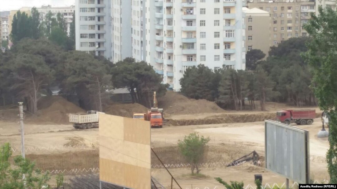 Ağaclar kəsilib.