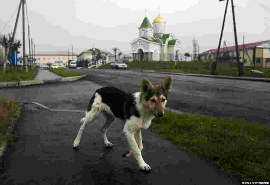 Кунашир – один из четырех островов, который Токио называет Северной территорией. Он расположен всего в 20 километрах от Японии 