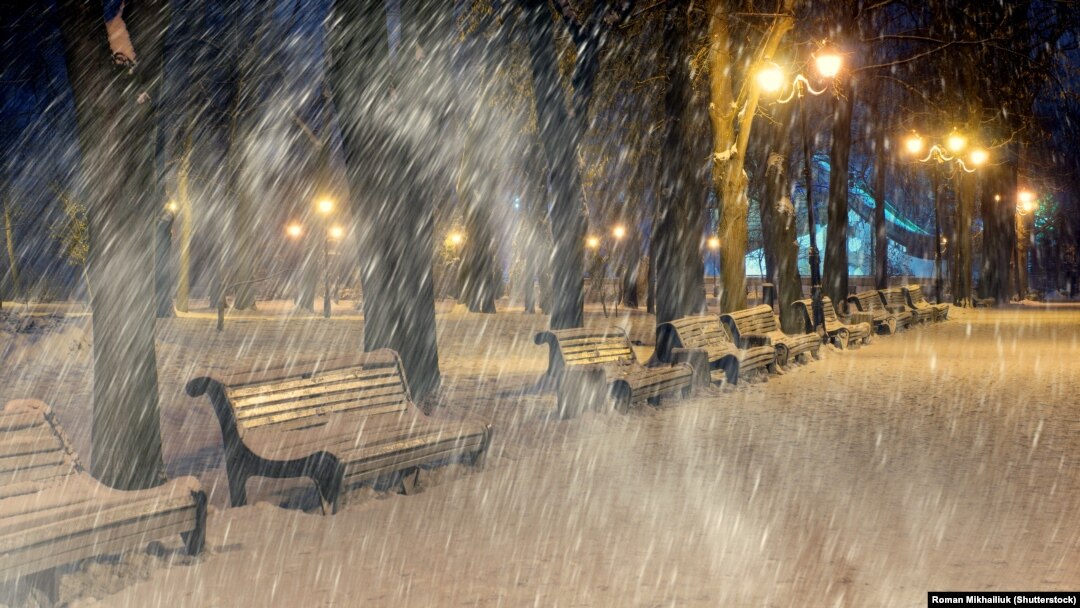 ©Shutterstock