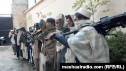 جلال اباد کې وسله وال حکومت ته تسلیم شول