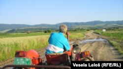 Vojvodina, ilustrativna fotografija