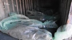 Контратака армії України: російських військових відкинули від Києва (відео)
